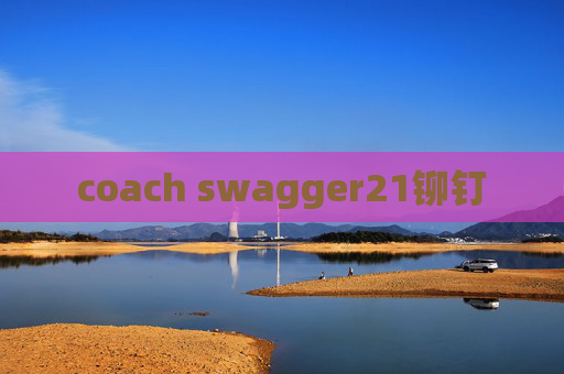 coach swagger21铆钉